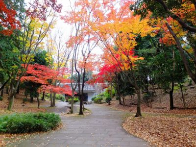 ささぶねの道（御影橋）
