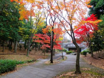 ささぶねの道（御影橋）
