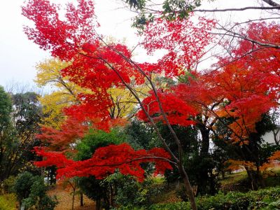 ささぶねの道（ささぶね橋）
