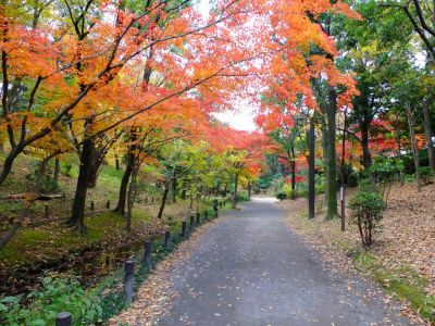 ささぶねの道（ささぶね橋）
