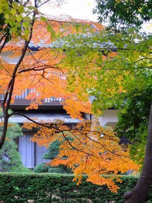 ささぶねの道（ささぶね橋）
