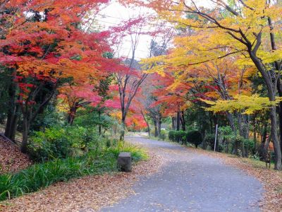 ささぶねの道（ささぶね橋）
