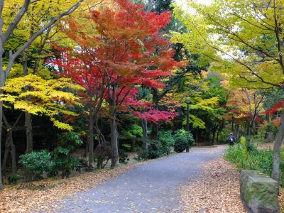 ささぶねの道（ささぶね橋）
