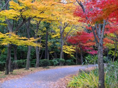 ささぶねの道（ささぶね橋）

