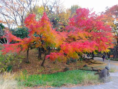 ささぶねの道（ささぶね橋）
