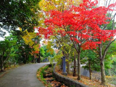 ささぶねの道（ささぶね橋）
