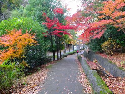 ささぶねの道（若水橋）
