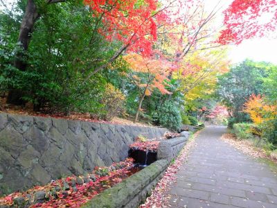 ささぶねの道（若水橋）

