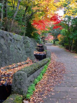 ささぶねの道（若水橋）
