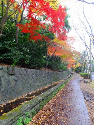 ささぶねの道（若水橋）
