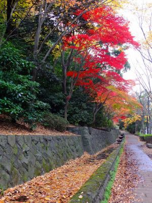ささぶねの道（若水橋）
