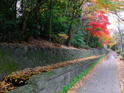 ささぶねの道（若水橋）
