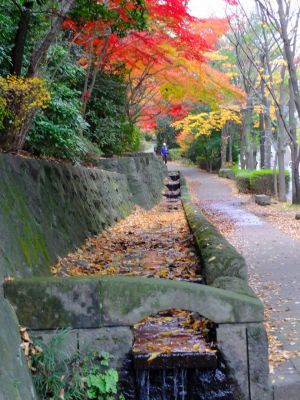 ささぶねの道（若水橋）
