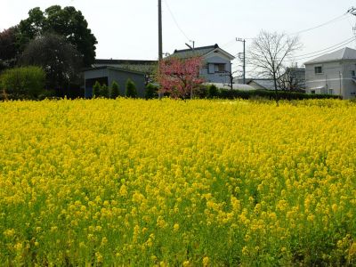 川和町駅前
