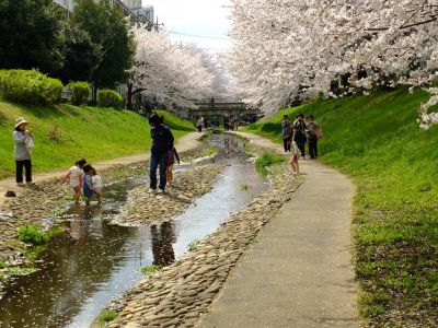 江川せせらぎ緑道

