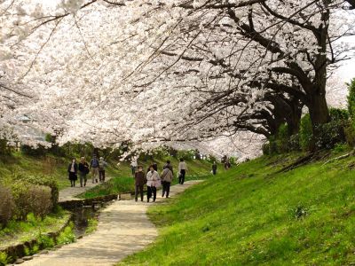 江川せせらぎ緑道
