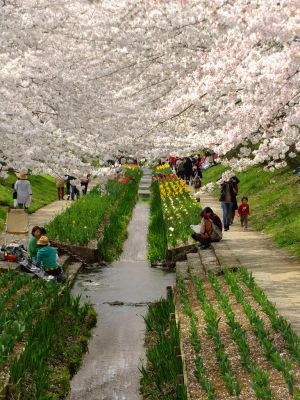 江川せせらぎ緑道
