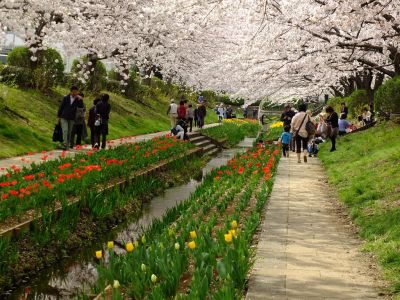 江川せせらぎ緑道
