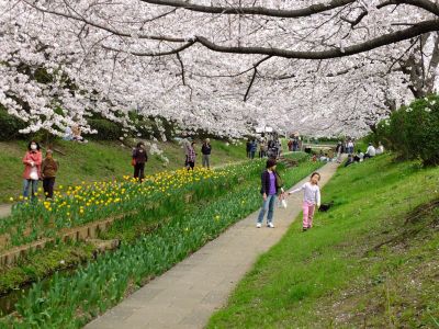 江川せせらぎ緑道

