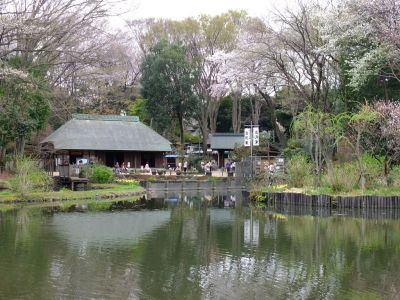 せせらぎ公園
