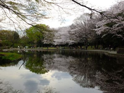 せせらぎ公園
