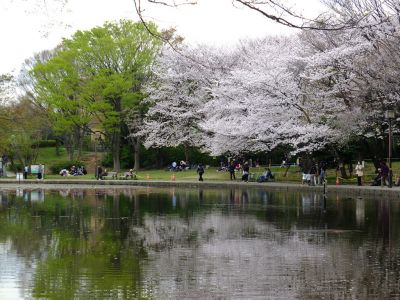 せせらぎ公園
