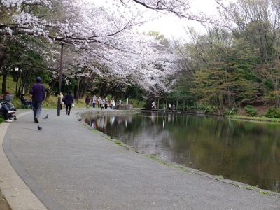 せせらぎ公園
