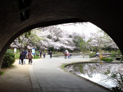せせらぎ公園
