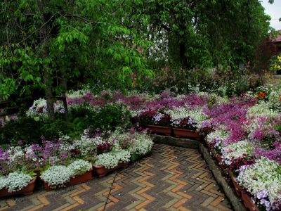 えだきん商店街
