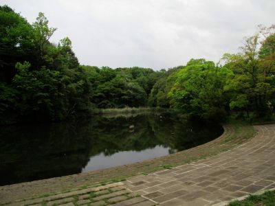 鴨池公園
