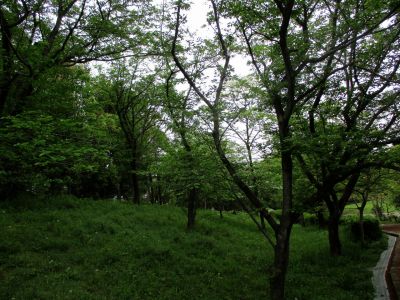 鴨池公園
