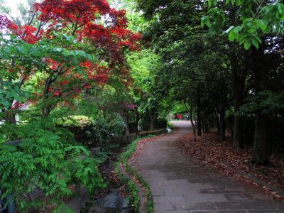 緑道ささぶねの道
