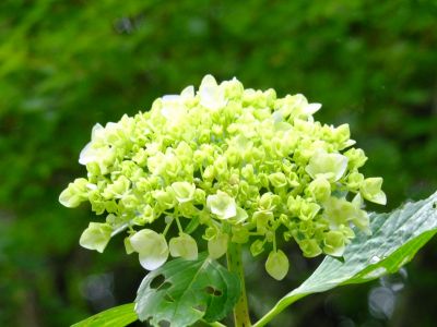 都筑中央公園（ばじょうじ谷戸）
