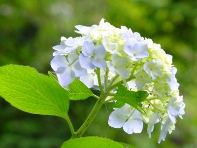 都筑中央公園（ばじょうじ谷戸）
