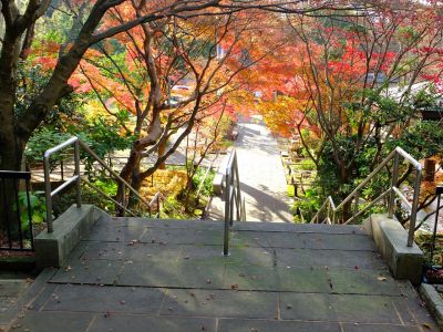 浄土宗　渋沢山心行寺
