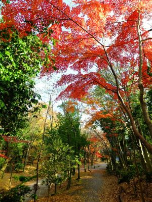 ささぶねの道（御影橋付近）

