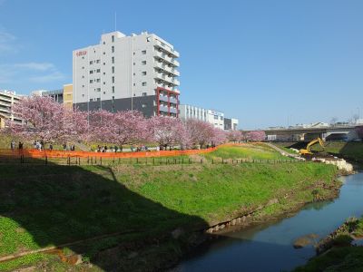 早渕川親水広場（神代曙）

