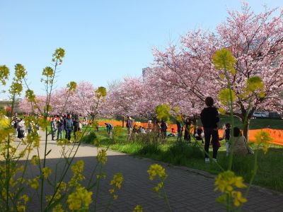 早渕川親水広場（神代曙）

