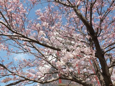 早渕川親水広場（神代曙）
