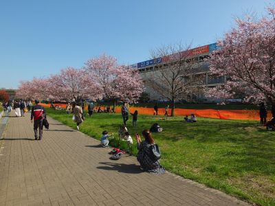 早渕川親水広場（神代曙）
