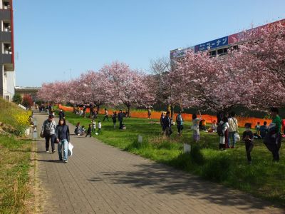 早渕川親水広場（神代曙）
