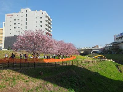 早渕川親水広場（神代曙）
