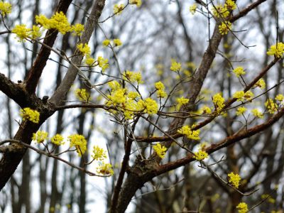 荏田東（さんしゅうゆ）

