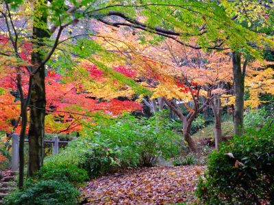 ささぶねの道（茅ヶ崎公園）
