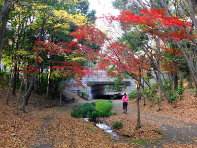ささぶねの道（御影橋）
