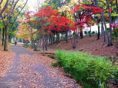 ささぶねの道（御影橋）
