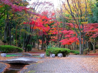 ささぶねの道（御影橋）
