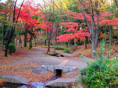 ささぶねの道（御影橋）
