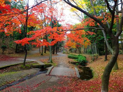 ささぶねの道（御影橋）
