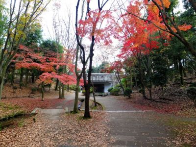 ささぶねの道（御影橋）
